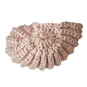 dekorative  Muschel, interior Muschel